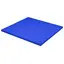 Sport Thieme | Judomatto sininen 100 x 100 x 4 cm 
