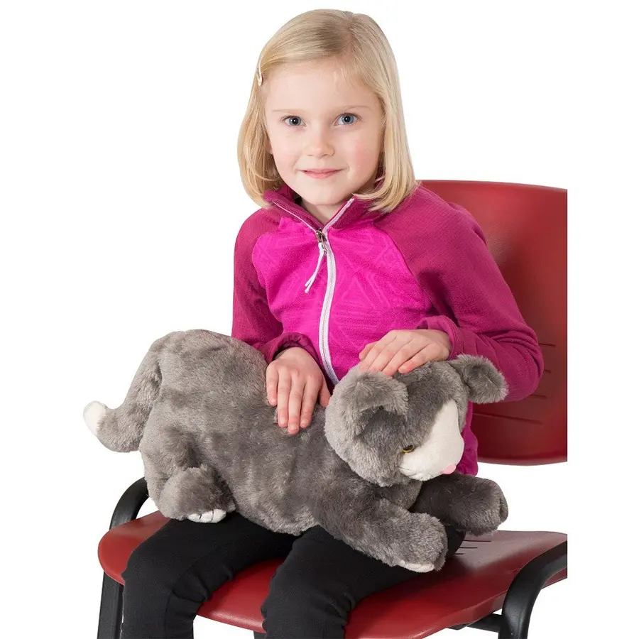 Spordas | Painokissa 1,9 kg | 41x23x20 cm 