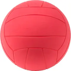 Maalipallo kulkusilla N&#228;k&#246;vammaisille