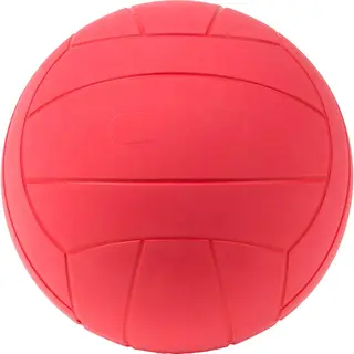 WV Goalball