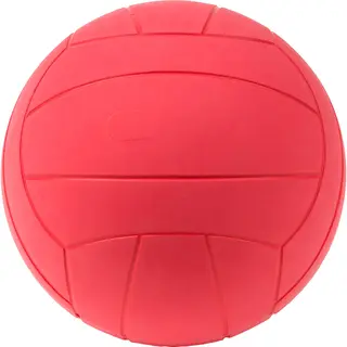 Maalipallo kulkusilla N&#228;k&#246;vammaisille