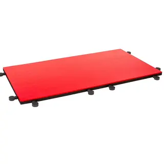 Kampsportmatte 200 x 100 x 5 cm