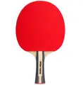 Sport-Thieme Table Tennis Bat Advanced+