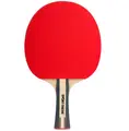 P&#246;yt&#228;tennismaila Advanced+ ITTF-hyv&#228;ksytty
