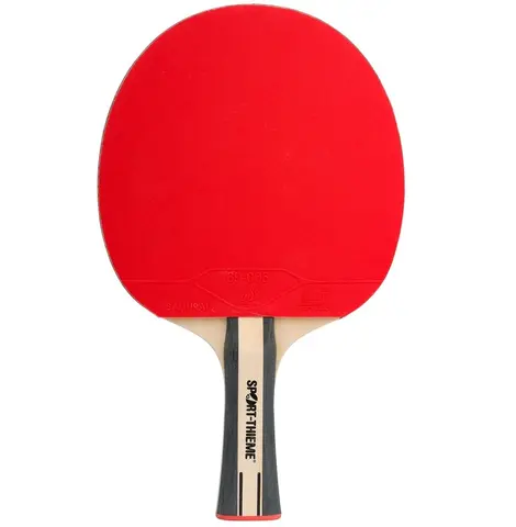 Sport-Thieme Table Tennis Bat Advanced+