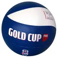 Gold Cup Volleyball 22