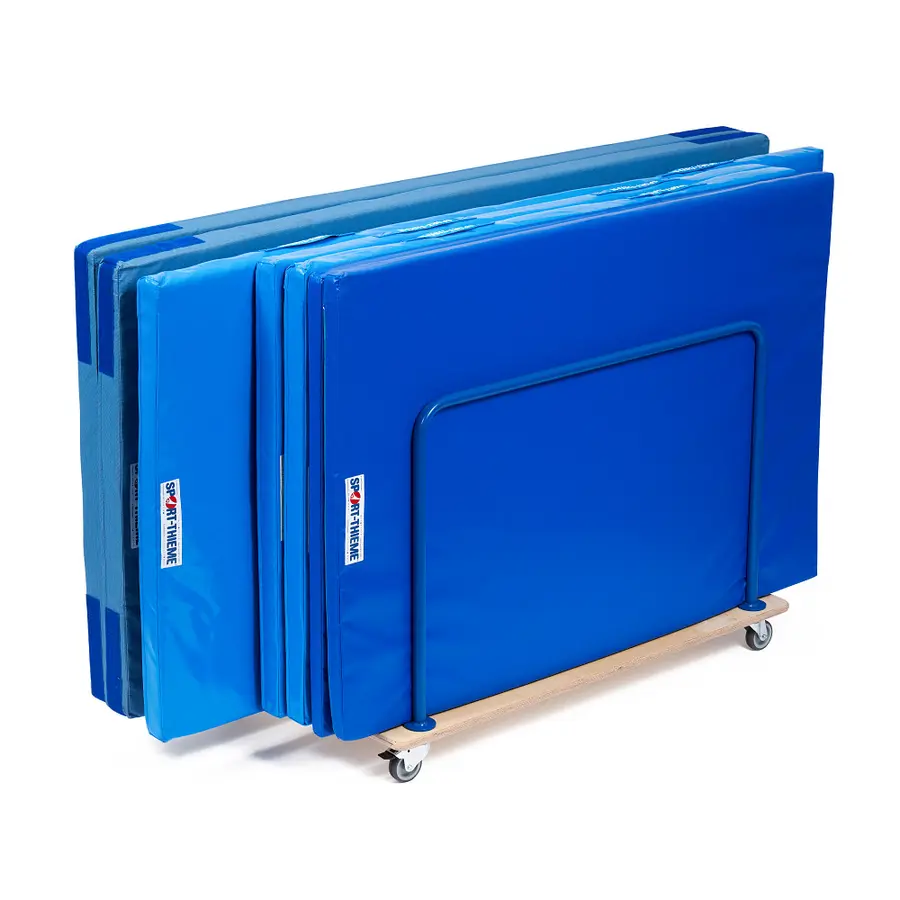 Sport-Thieme | Kuljetusvaunu 124,5x70x83,7 cm | Matoille 
