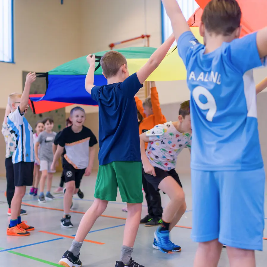 Sport-Thieme | Wave Laskuvarjokangas 8x1 m 