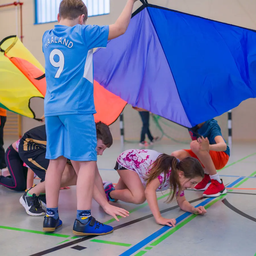 Sport-Thieme | Wave Laskuvarjokangas 8x1 m 