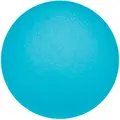 Sport-Thieme K&#228;denvalmentaja Physioball Vaaleansininen | Kevyt
