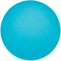 Sport-Thieme K&#228;denvalmentaja Physioball Vaaleansininen | Kevyt