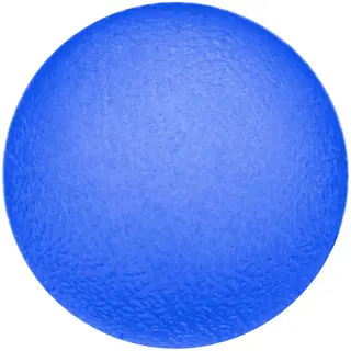 Sport-Thieme K&#228;denvalmentaja Physioball Sininen | Raskas