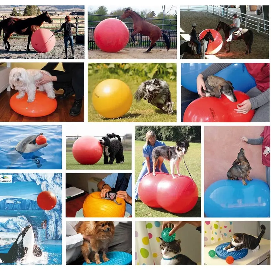Gymnic® Fysiorulla/Peanutpallo 85 cm x 130 cm (punainen) 