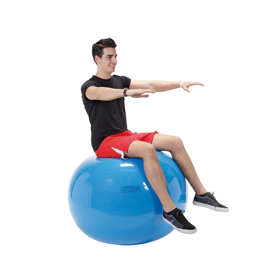 Gymnic | Jumppapallo 95 cm 