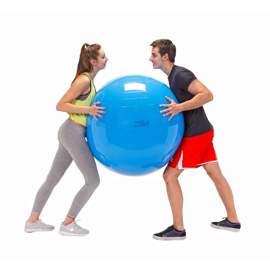 Gymnic | Jumppapallo 95 cm 