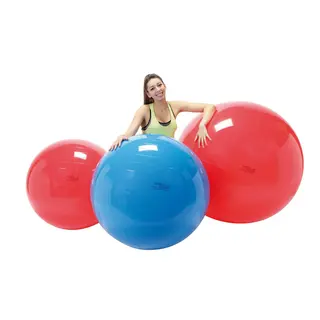 Gymnic Fysiopallo (4 kpl) Koot: 85, 95, 120 cm