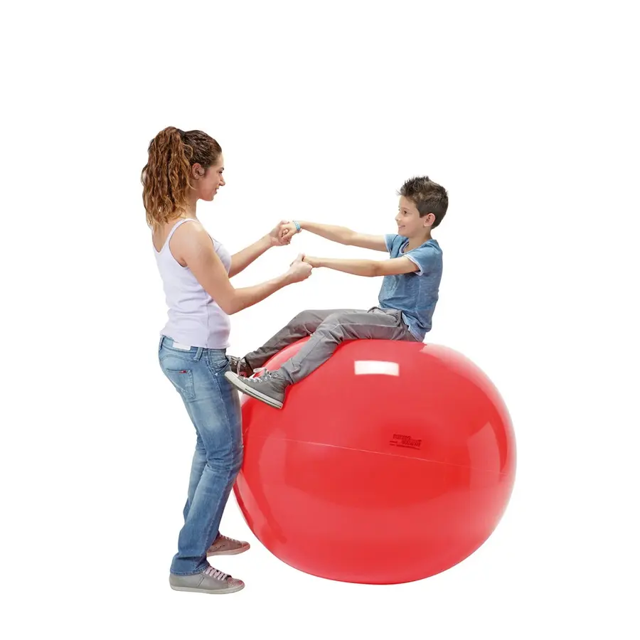 Gymnic | Jumppapallo 120 cm 