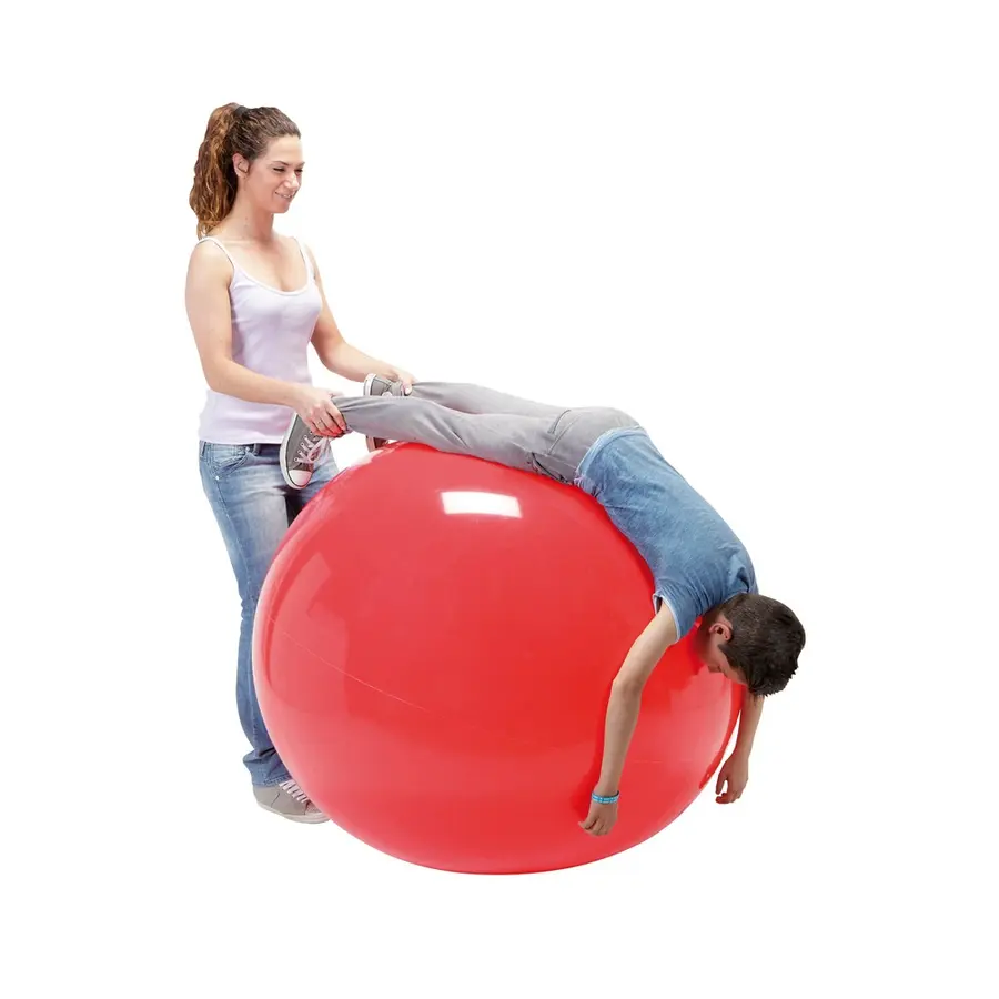 Gymnic | Jumppapallo 120 cm 