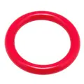 Diving Ring