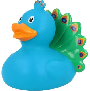 Peacock Duck