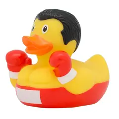 BOXING DUCK