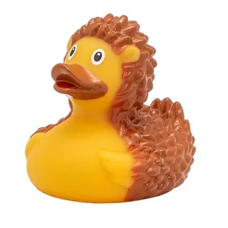 HEDGEHOG DUCK