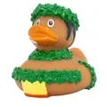 Kylpyankka | Hawaii Duck, male