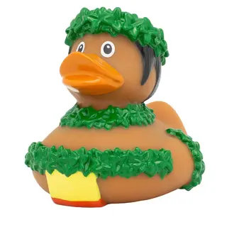 Kylpyankka | Hawaii Duck, male