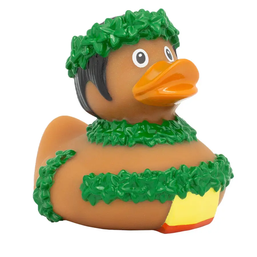 Kylpyankka | Hawaii Duck, male 