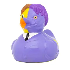Two-Face Duck