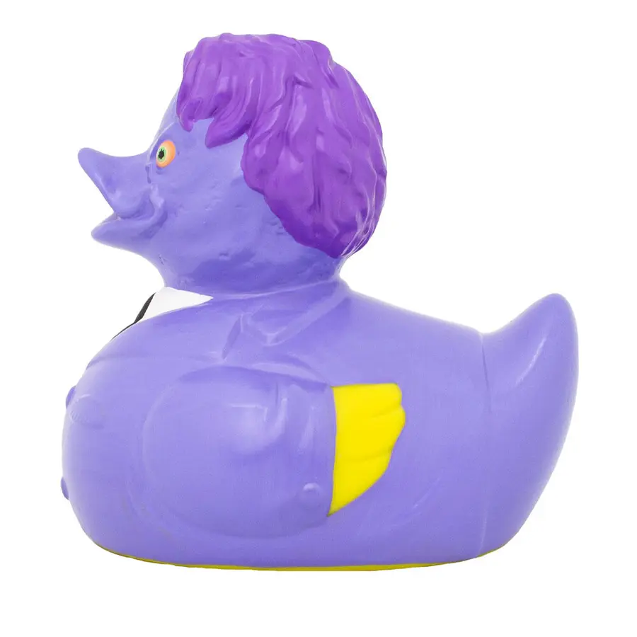 Two-Face Duck 