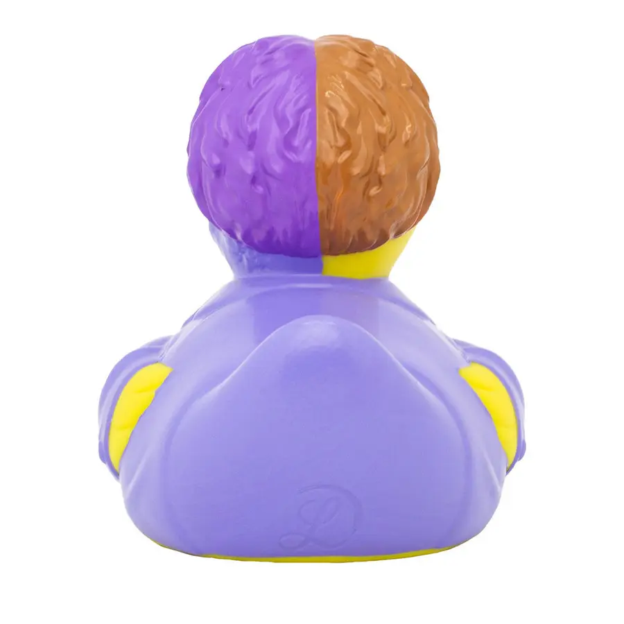 Two-Face Duck 