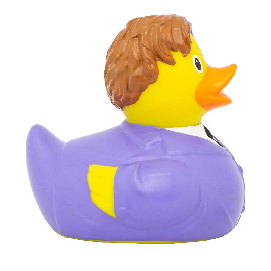 Two-Face Duck 