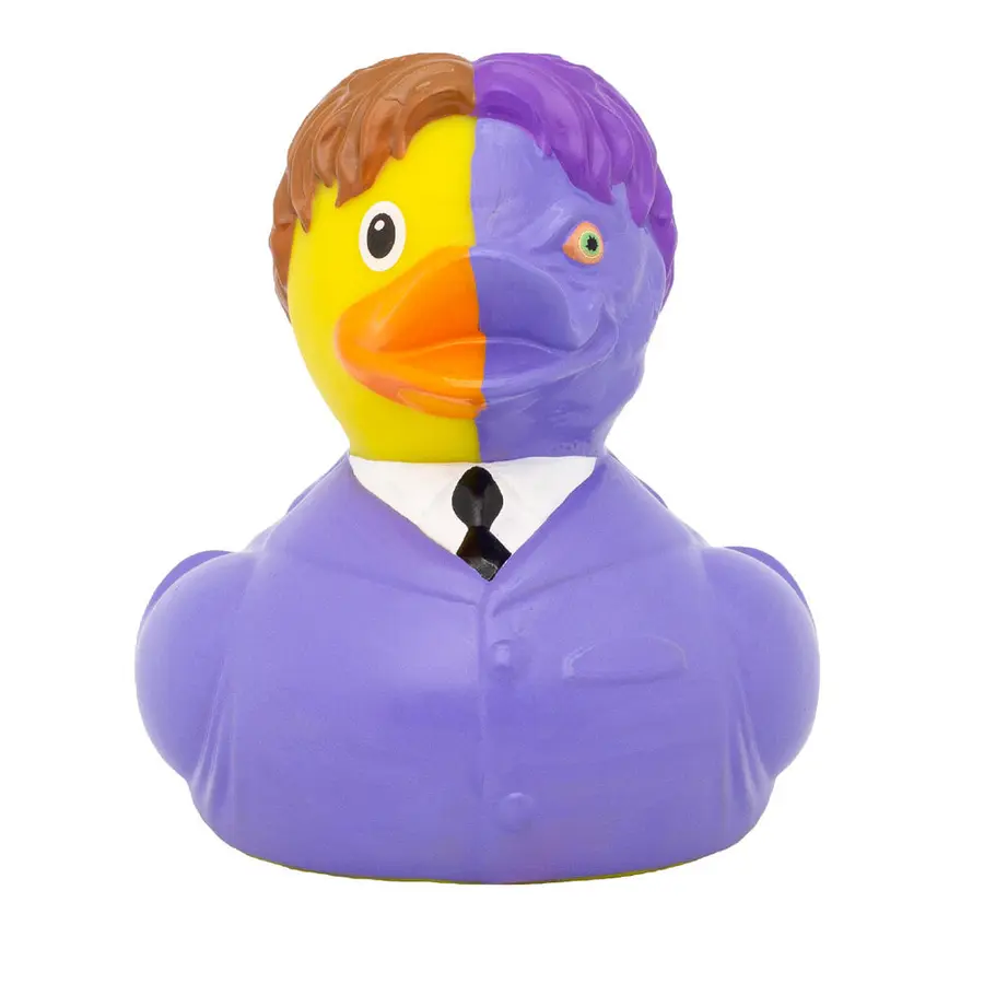 Two-Face Duck 