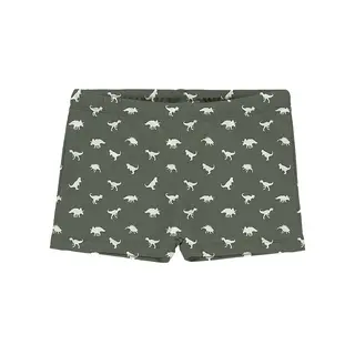 Dino Green Uimahousut Slipstop | Vihre&#228;