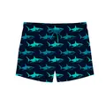 Big Blue Junior Short Uimahousut Slipstop | Sininen