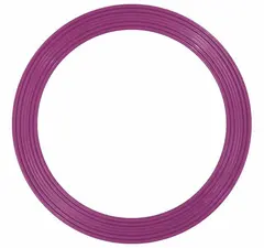 Wesco | Voimistelurengas 18 cm | Violetti