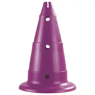 Merkkikartiot rei&#39;ill&#228; 50 cm | 2 kpl Violetti