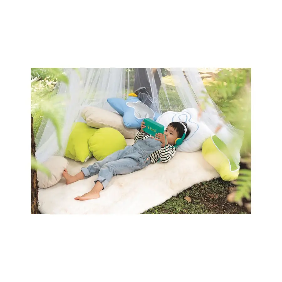 CHILD’S BED CANOPY 